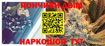 гидра Можга