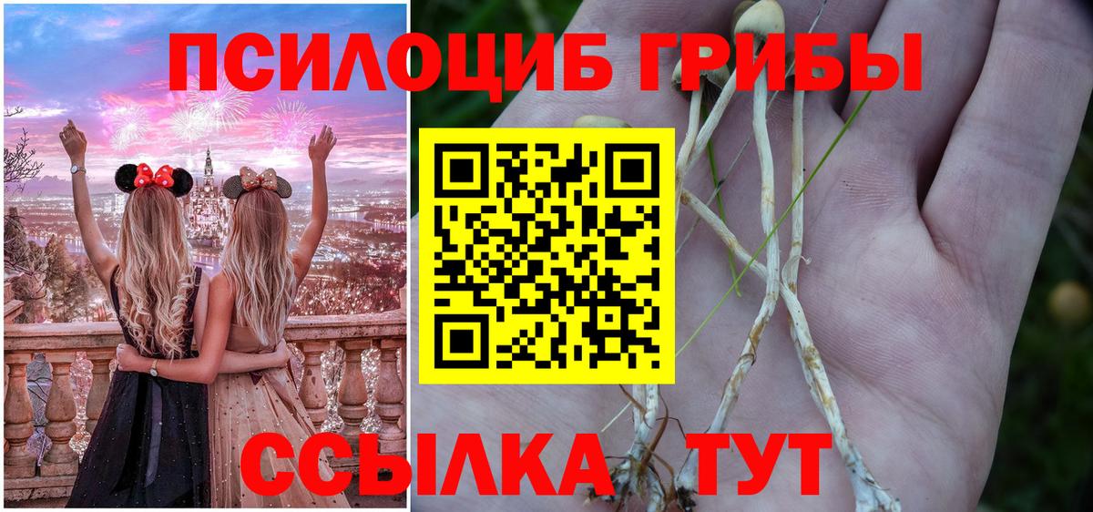 Псилоцибиновые грибы Cubensis  Вход с VPN  Губкин 